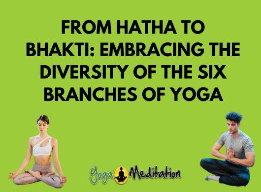 embracing-diversity-six-branches-of-yoga