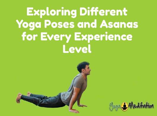 exploring-different-yoga-poses-asanas-experience-level